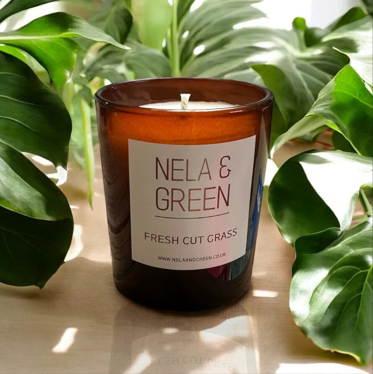 Spring is a time for renewal