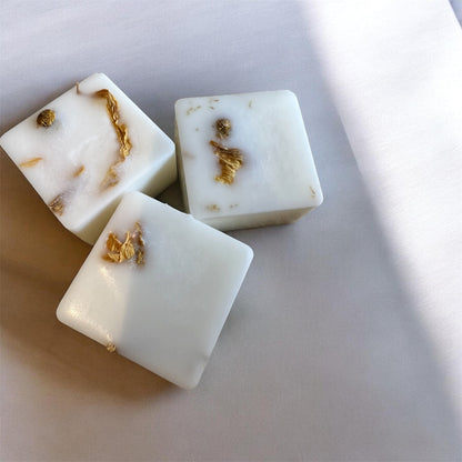 Brazilian Sun Wax Melts