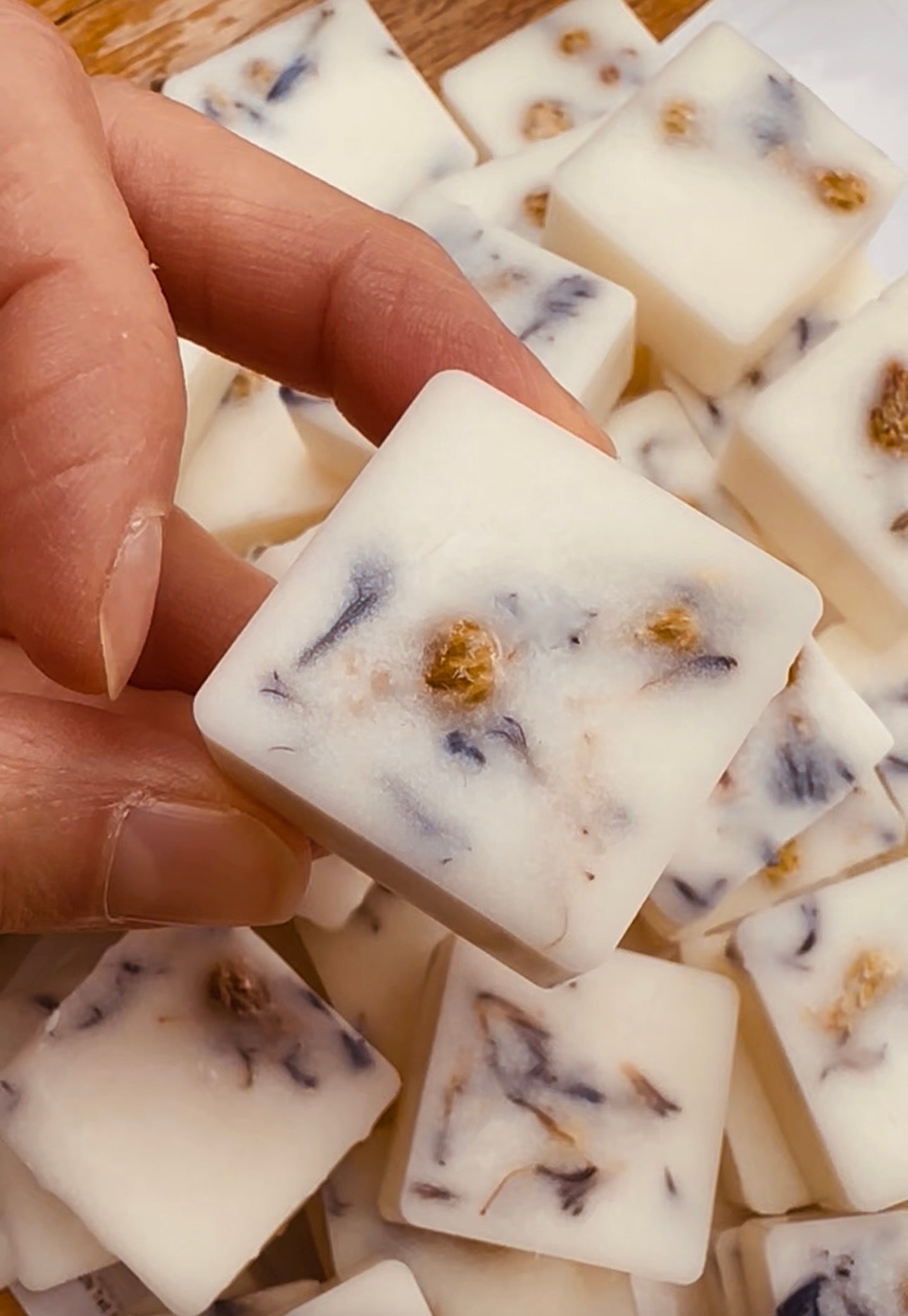 Across the Shore Wax Melts